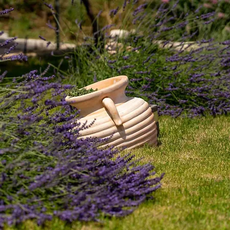 Ivana By Interhome بيت للعطل *