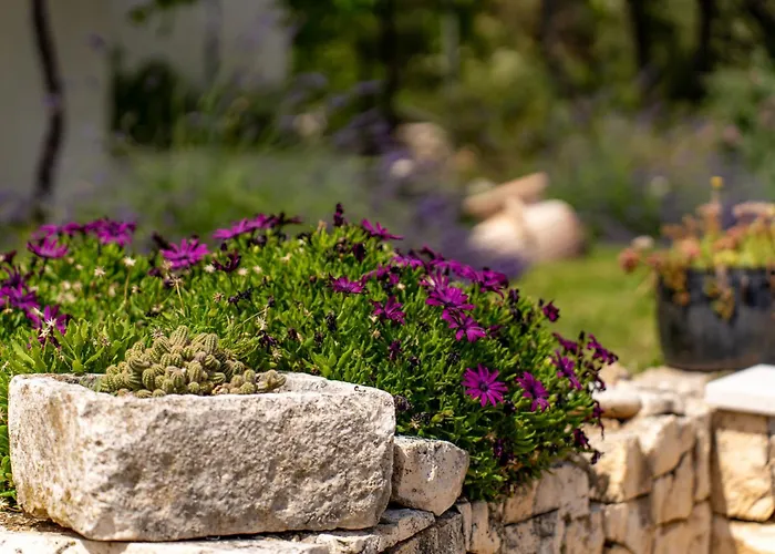Ferienhaus Ivana By Interhome *